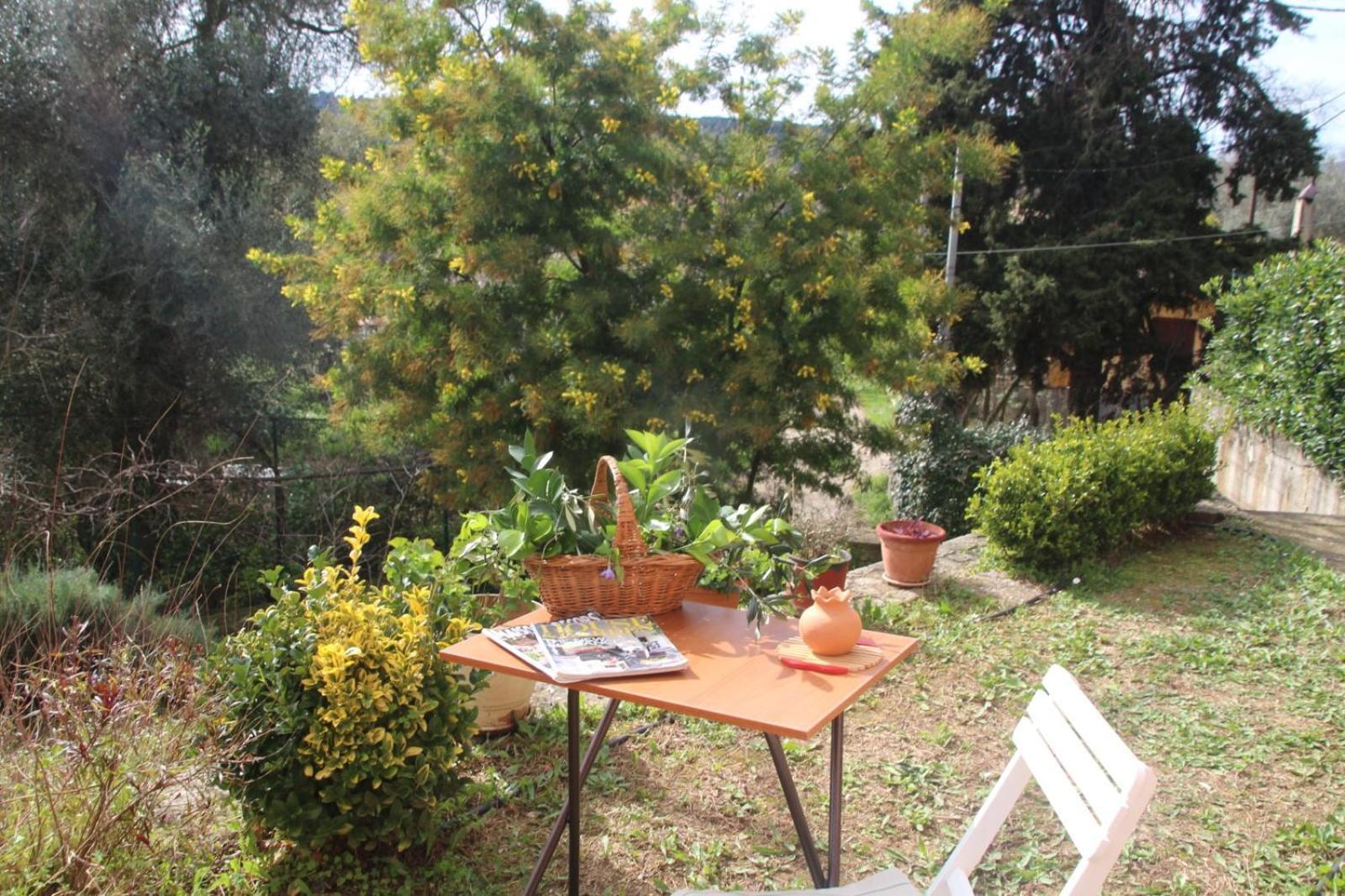 Apartment Olive Luxouri